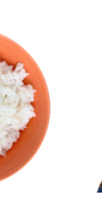 RICE Model Forecasting for SEO